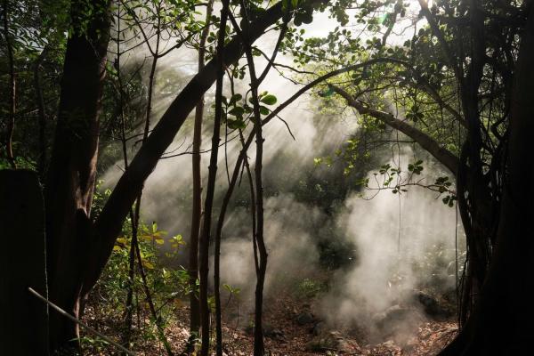 Rincon de la Vieja, an active volcano in Costa Rica, experiences elevated levels of carbon dioxide due to its volcanic activity, where CO2 naturally seeps from cracks in the volcano's foundation, creating a unique environment for studying the effects of how plants might respond to rising global CO2 levels. 