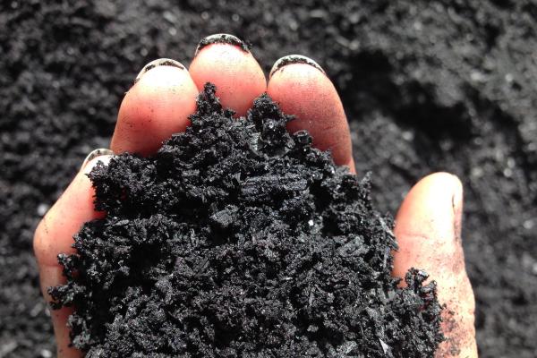 A new MIT study finds that biochar (charcoal produced from plant matter and stored in soil) is a cost-competitive option for removing carbon dioxide from the atmosphere. Carbon dioxide removal is expected to play a key role in reducing greenhouse gas emissions in alignment with long-term climate targets.